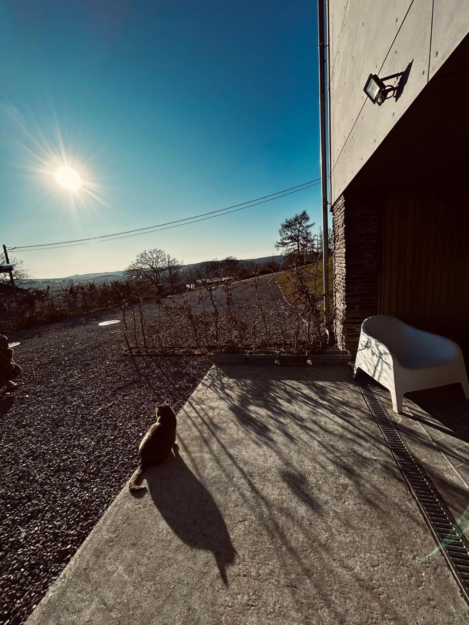 Aparthotel La Planque Du Raton Laveur Lierneux Esterno foto