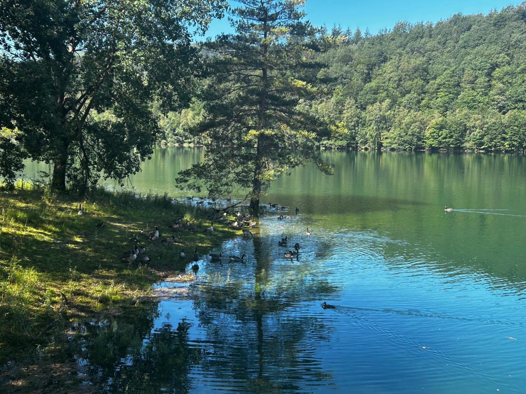 Aparthotel La Planque Du Raton Laveur Lierneux Esterno foto